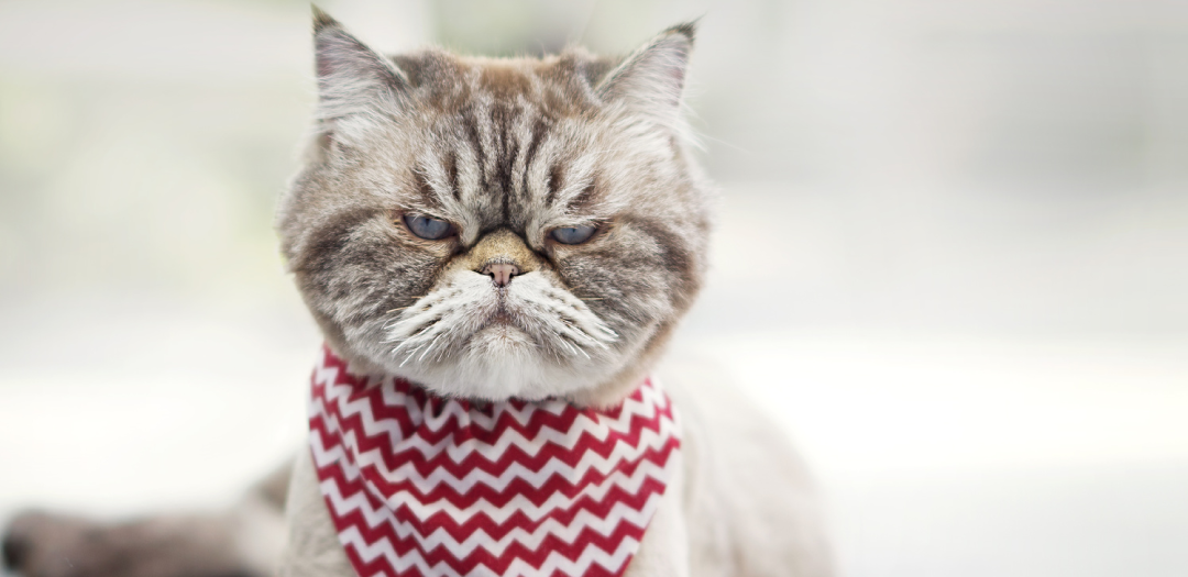 Beat the Winter Blues: Exercise, Eat Healthy and Improve Your Indoor Air Quality