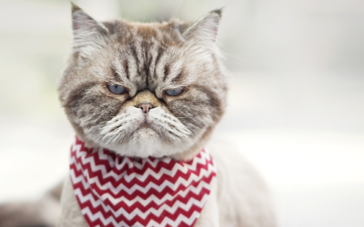 Beat the Winter Blues: Exercise, Eat Healthy and Improve Your Indoor Air Quality