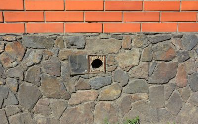 3 Tips to Prevent Pests from Damaging Your HVAC System