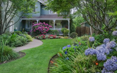 Incorporate Energy Efficient Landscaping in Your Garden This Spring!