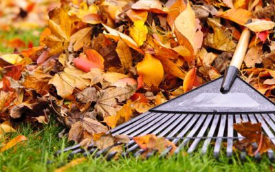 Autumn AC Maintenance Tips