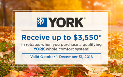 Unbe-leaf-able Savings on a New Furnace and AC with Our YORK Fall Promotion