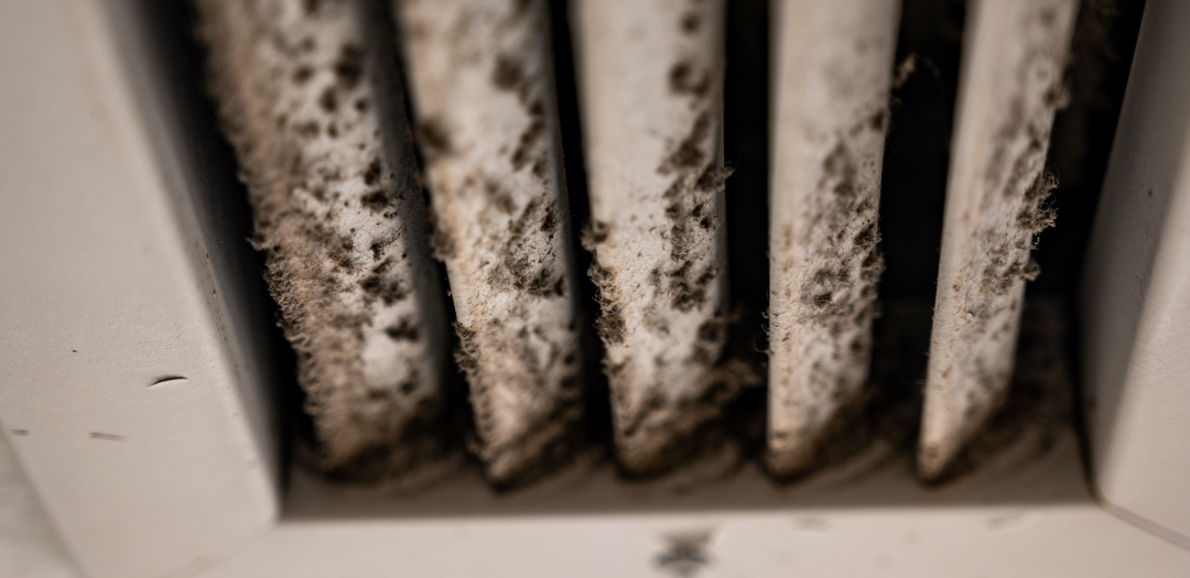 How To Tell If There Is Mold In My Furnace