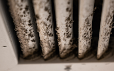 How To Tell If There Is Mold In My Furnace