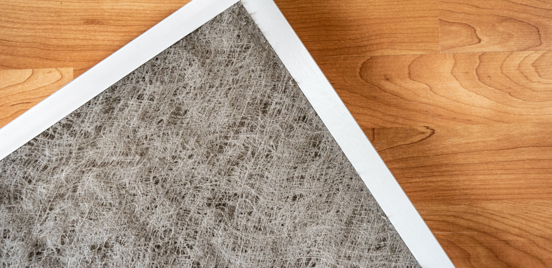 Improve Your Indoor Air Quality at Home During Asthma and Allergy Awareness Month