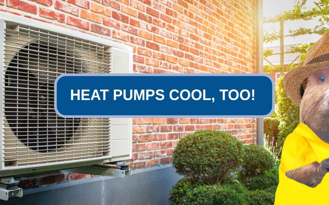 Heat Pumps Cool, Too