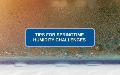 Tips for Springtime Humidity Challenges