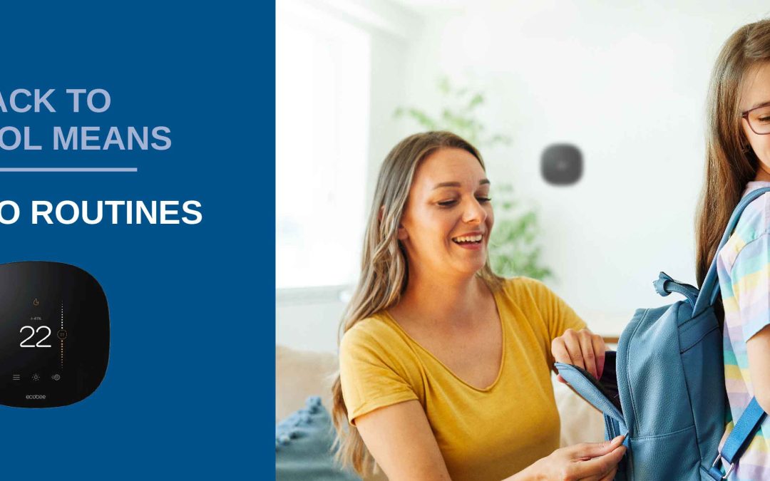 Back to School, Back to Routine