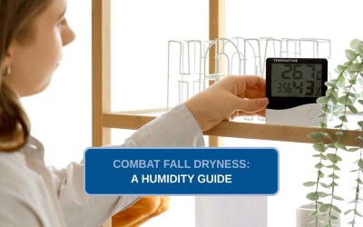 Combat Fall Dryness: A Humidity Guide