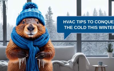 HVAC Tips to Conquer the Cold This Winter