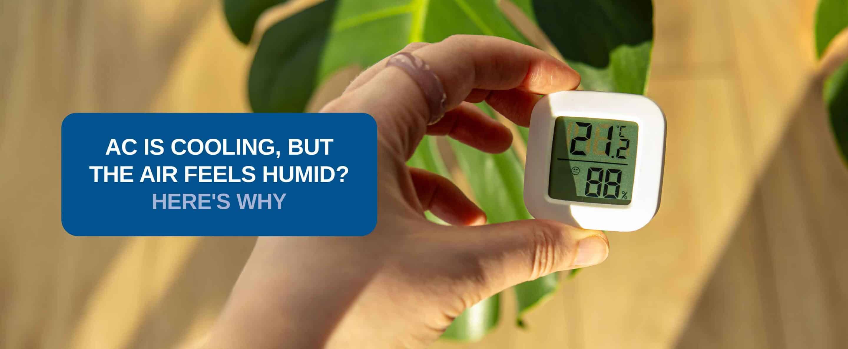 home feels humid