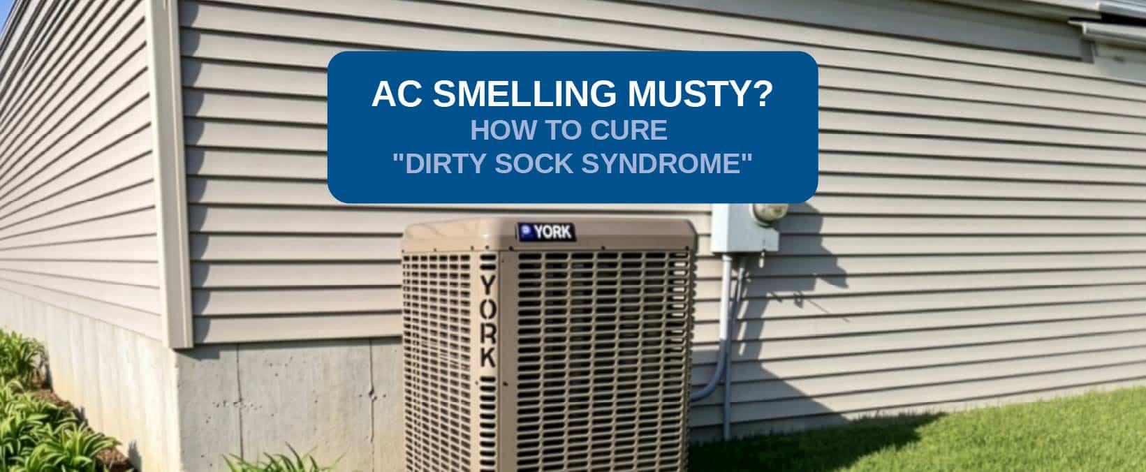 AC smells musty